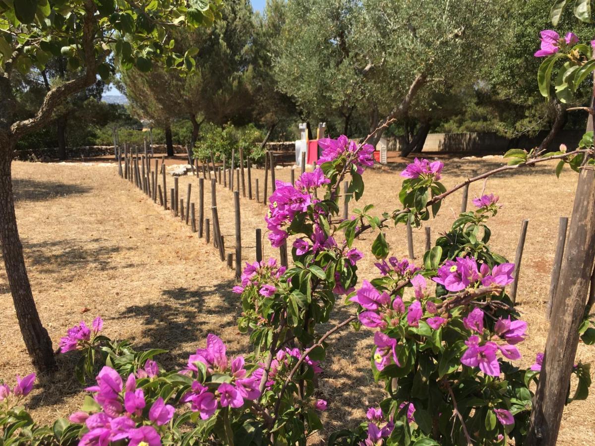 Holiday home Grano Arso Turistico *