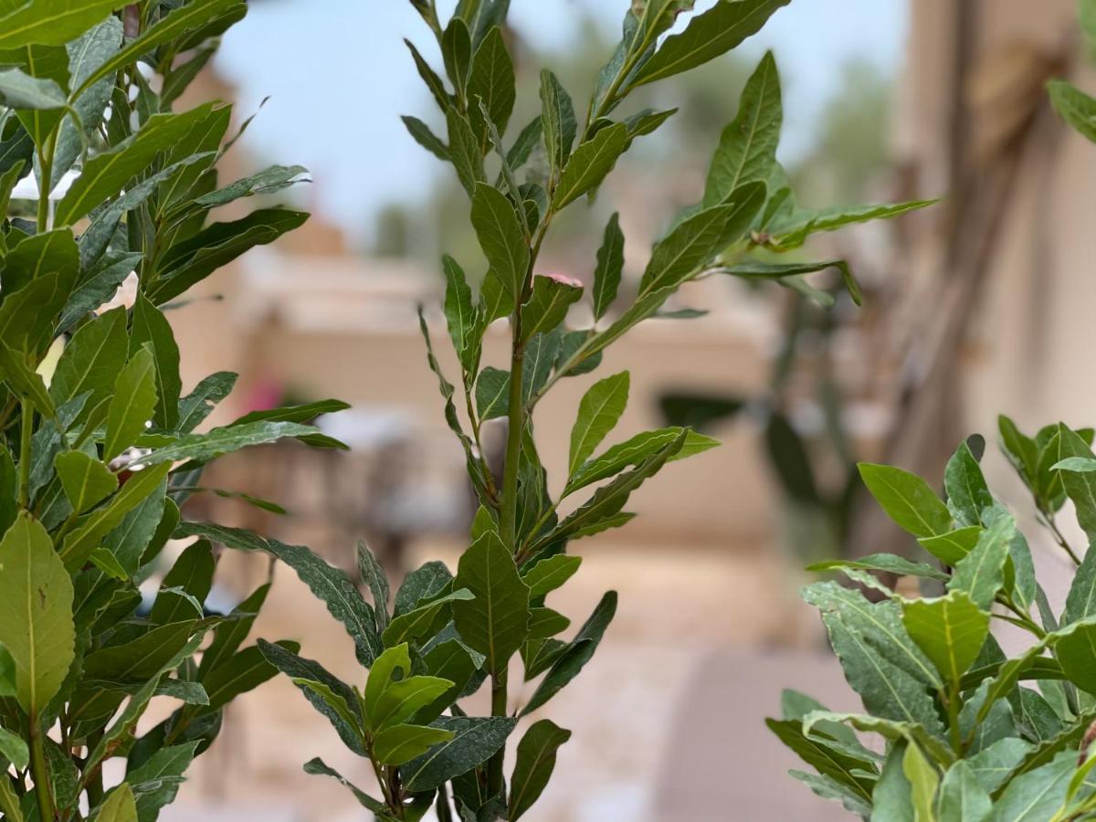Holiday home Grano Arso Turistico Cisternino