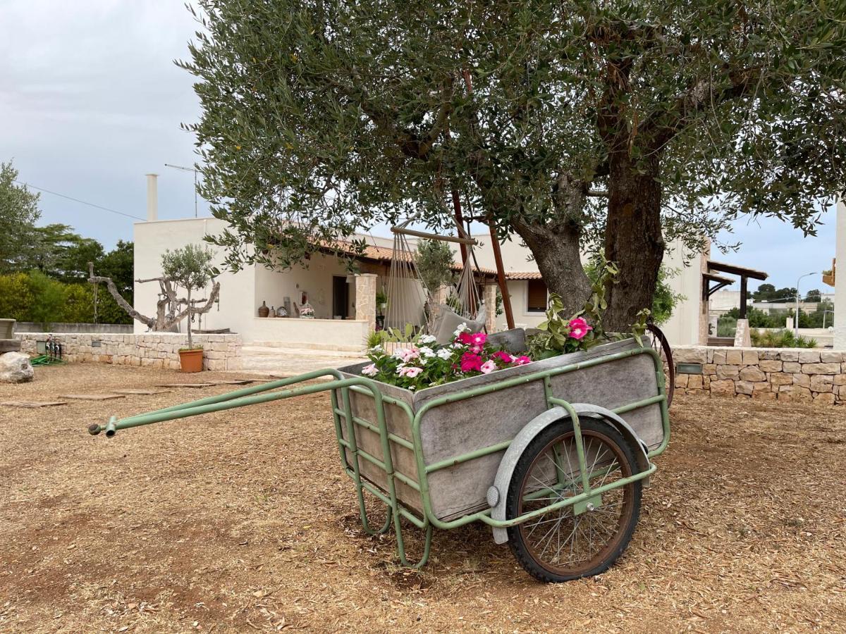 Grano Arso Turistico Holiday home *
